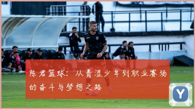 陈君篮球：从青涩少年到职业赛场的奋斗与梦想之路